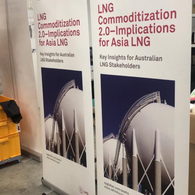 Roll Up Banners/ Pull Up Banners example 7