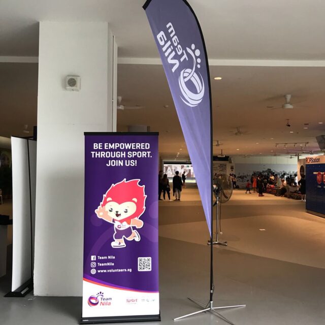 Flying Banner photo 3