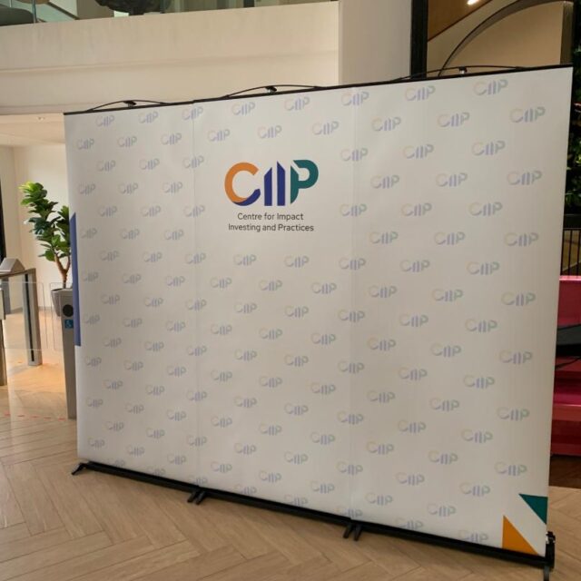 LINK2 (Pull Up) photo 2